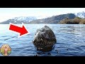 ON SAIT QUI EST LE MONSTRE DU LOCH NESS…!