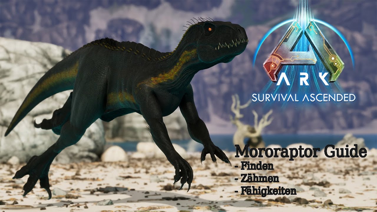 Mororaptor Guide Deutsch - Finden, Zähmen, Fähigkeiten [Moro's Indomitable Duo]