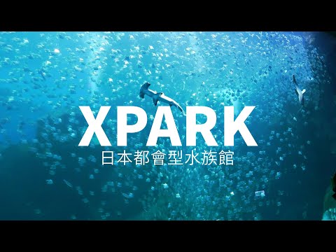 Xpark水族館一日遊，來跟著我一起看！華泰名品城隨意逛，折扣比想像大！台灣旅遊Vlog｜家庭兄弟