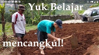 Teknik Mencangkul Tanah Yg Baik Dan Benar Oleh Bpk Diah Petani 93 Tahun (How to hoe the ground well)