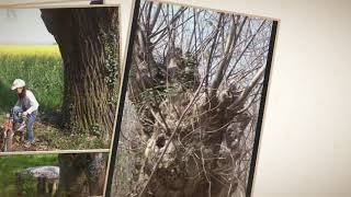 米雪兒法國生活日誌x原創音樂分享（法國巴黎生活篇一）1999～2011