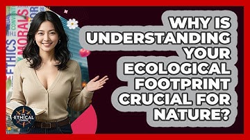 Why Is Understanding Your Ecological Footprint Crucial For Nature? - The Ethical Compass