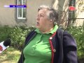 Занедбане кладовище у історичному центрі Галицького району 