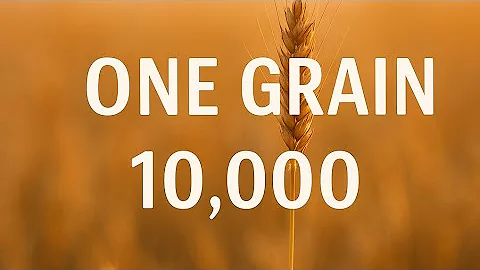One Grain Ten Thousand – Official Lyric Video