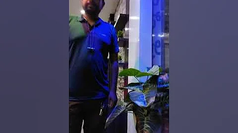 Aristo Wardrobe Sliding Door