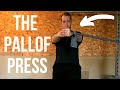 How to Do the Pallof Press | Strengthen Core and Prevent Back Injury