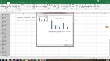 Week 2 - Qualitative Data Summarizing on Excel
