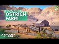 Dorthys Ostrich Farm by Beezy - Planet Zoo Community Showcase 10