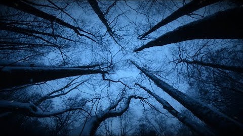 تلاوة عطره سورة ﴿ الرحمن كاملة ﴾ | سلمان العتيبي