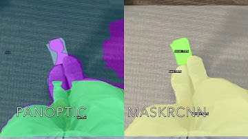 Panoptic FPN and Maskrcnn for body and foot segmentatin