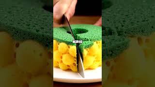 Teachers, Whats The Craziest Thing A Students Done For An A