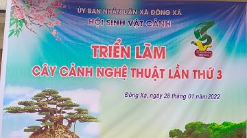 Triển lãm cây cảnh tại Đông Xá Đông Hưng Thái Bình