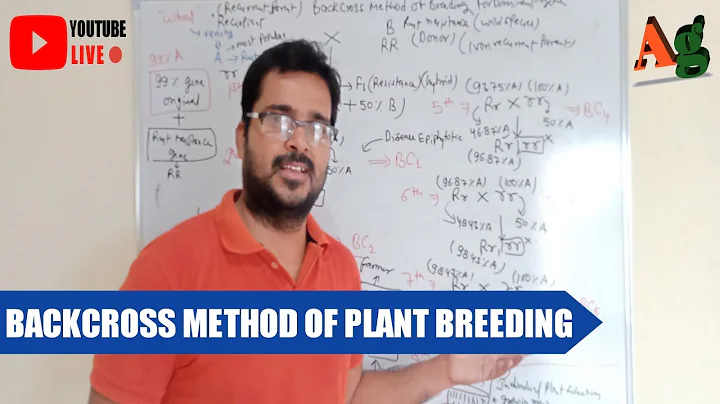 Backcross Method of Plant Breeding for Dominant Gene Transfer | Agriculture RS Rajput - DayDayNews