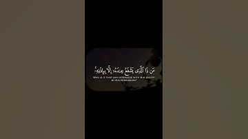 Ayatul Kursī🥹 #quran #سورة_البقرة #عبدالرحمن_السديس #fyp #تلاوة_خاشعة