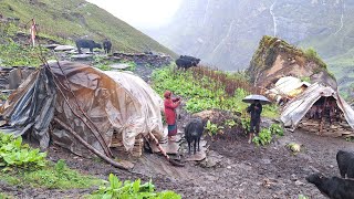 Most Relaxing And Peaceful Mountain Village | Ep_2 | Rainy Day Nepali Village | PrimitiveRuralVilage