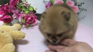 IMG 48561