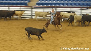 Mr Catsnap***For info, price, etc., go to our website*** Valley View Ranch