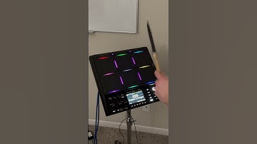 Roland SPD-SX Pro Bongos & Congas Demo