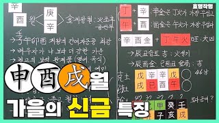 [중급] 211강 신유술월(가을)의 신금 특징