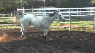 Raw Video Teddy and Kai Jumping