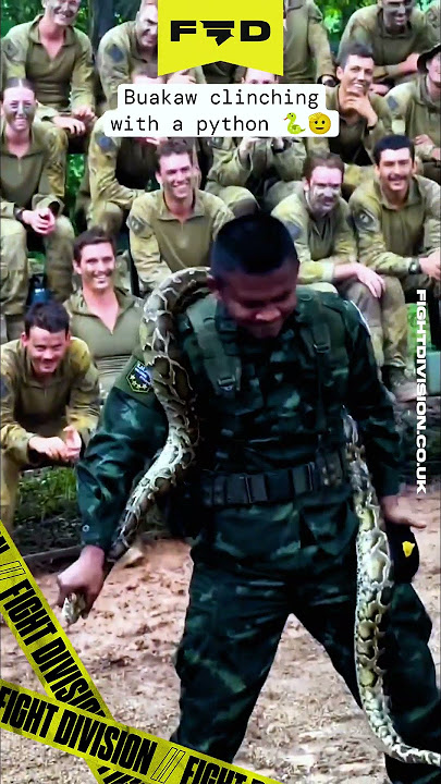 🐍 BUAKAW clinches a PYTHON!! 🐍 #muaythai #thaiboxing #ufc #mma #buakaw #comedy
