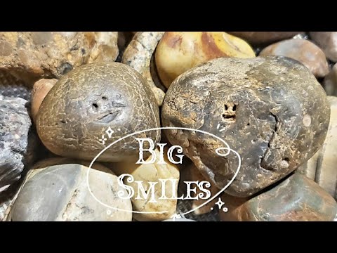 Smiling Rocks Real What's making these Rocks Smile? - YouTube