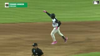 Termarr Johnson's solo home run | MiLB Highlights