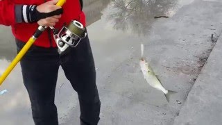 rapala ile çinakop avı kanlıca 03-12-2015