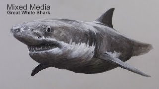 How to Draw a Shark  Mixed Media Drawing Lesson