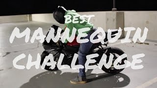 Best Mannequin Challenge