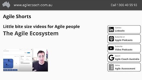 What is an Agile ecosystem