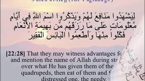 تلاوه  خاشعه بصوت الشيخ محمد علوان من سورة الحج من الأيه 26 الى 33