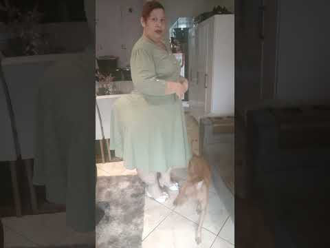 SUBSCRIBE TO MY CHANNEL 