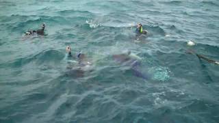VID00132.MP4