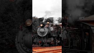 Train 🚂 #train #trainlovers #railway #shorts #shortvideo #viral #ytshorts
