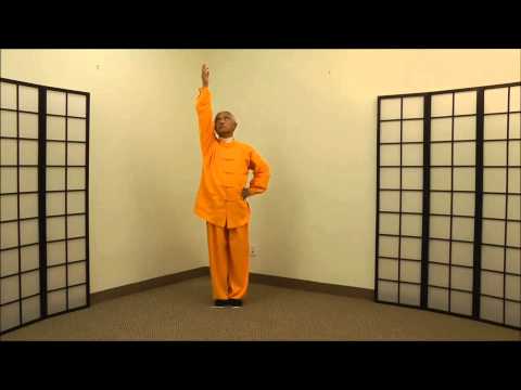 Videovorschaubild zu „Ba Duan Jin - 3rd Movement - Single Hand Pushing Up“ von baduanjinutube