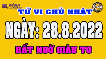 TỬ VI HÀNG NGÀY 28 THÁNG 8 NĂM 2022 CỦA 12 CON GIÁP CHUẨN NHẤT