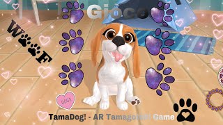 Il gioco TamaDog! AR Tamagotchi Game screenshot 3
