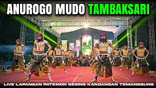 WAROK AMT 🔥 ANUROGO MUDO TAMBAKSARI LIVE LAPANGAN PATEMON GESING KANDANGAN TEMANGGUNG