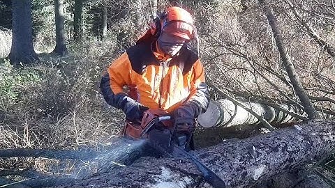 Garden and Forest Original YouTube Video , Chainsaw , Drujba, Piła łańcuchowa, Motorsåg ,Motosierra