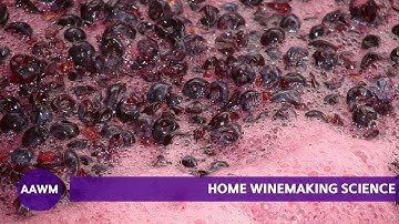 The Science of Home Winemaking: Managing Thermal and Oxygen Factors