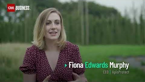 How technology is helping honey bees