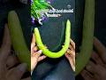 మీరు దీనిని ఏమని పిలుస్తారు?/summer fruit@Talimpu