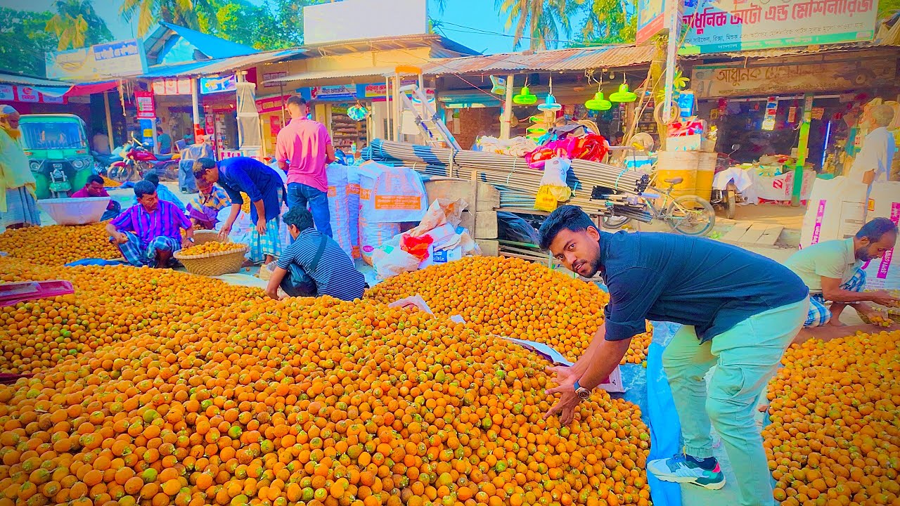 পান খাওয়া ছাড়া সুপারি আর কি কি কাজে লাগে জেনে নিন!  বাংলার সবচেয়ে ব্যস্ত সুপারি বাজার। 🤯😳