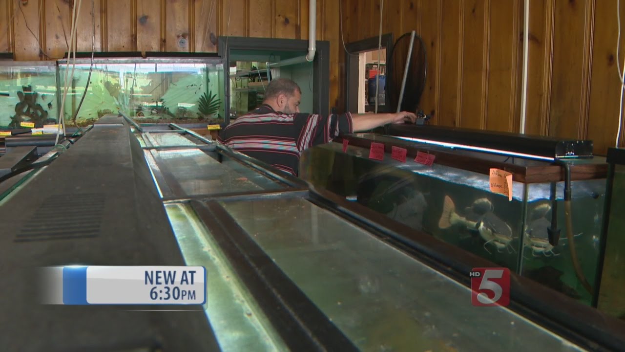 Cookeville Pet Shop Owner Disputes Animal Cruelty Charge YouTube