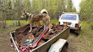 ЗАБРАЛСЯ В ЛЕС НА 48 ЧАСОВ КОПА! ПРИЦЕП ПОД ЗАВЯЗКУ! ТРАКТОРНОЙ БРИГАДЫ БОЛЬШЕ НЕТ……