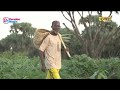 ባህርያዊ ዲጋ ዓዲ ገንደ - መደብ ኤረና | Erina - July 03, 2026 - ERi-TV, Eritrea