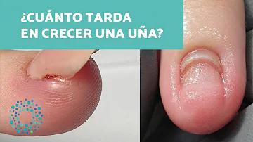 ¿Cuánto tiempo deben durar las uñas de los pies?