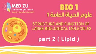 علوم الحياة العامة Bio1 (Structure and Function of Large Biological Molecules) part 2 (Lipids)