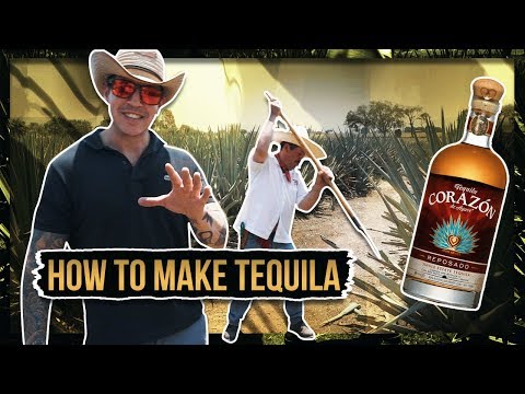 HOW TEQUILA IS MADE